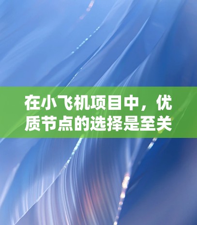 在小飞机项目中，优质节点的选择是至关重要的，以确保系统的高效和稳定运行。以下是针对优质节点选择的详细步骤和建议