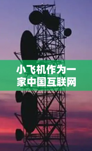 小飞机作为一家中国互联网公司，在海外市场提供的网络工具可能涵盖多个方面，以下是对其海外网络工具的综合分析