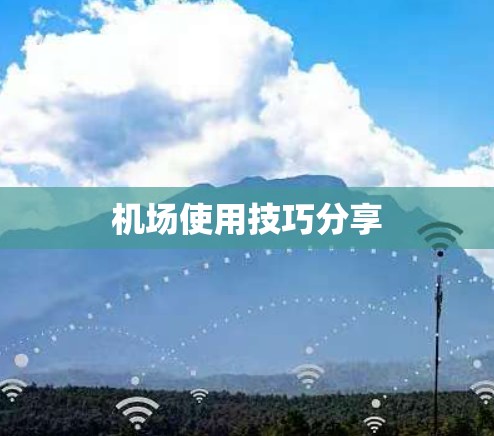 机场使用技巧分享