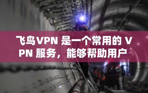 飞鸟VPN 是一个常用的 VPN 服务，能够帮助用户 消除网络限制，访问更多内容。以下是使用飞鸟VPN 在手机上的详细教程