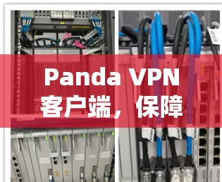 Panda VPN客户端，保障网络安全的无懈可击解决方案