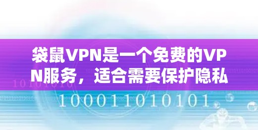 袋鼠VPN是一个免费的VPN服务，适合需要保护隐私和安全的用户。以下是使用袋鼠VPN的详细步骤