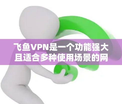 飞鱼VPN是一个功能强大且适合多种使用场景的网络加速服务，以下是其详细功能介绍