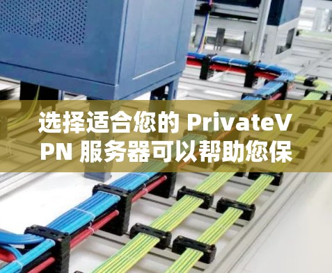 选择适合您的 PrivateVPN 服务器可以帮助您保护隐私、匿名化网络流量并确保安全。如果您计划长期使用VPN服务，以下是一些建议和因素供您参考