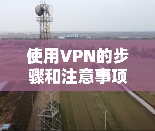 使用VPN的步骤和注意事项