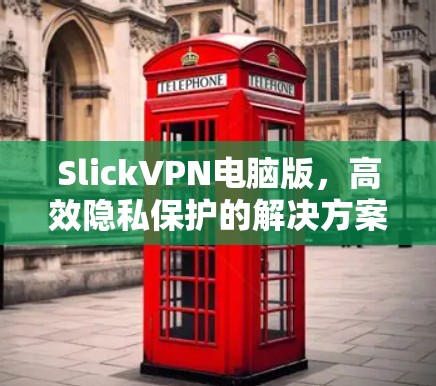 SlickVPN电脑版，高效隐私保护的解决方案