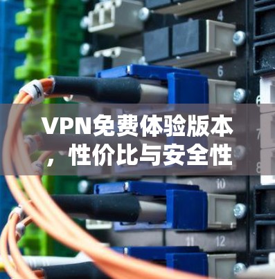VPN免费体验版本，性价比与安全性分析