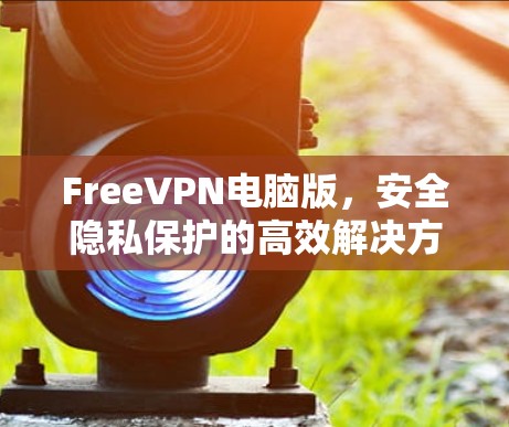 FreeVPN电脑版，安全隐私保护的高效解决方案