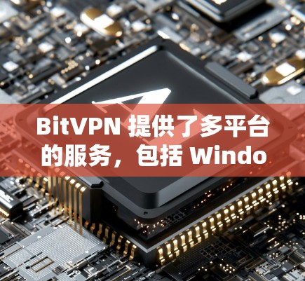 BitVPN 提供了多平台的服务，包括 Windows、Mac、iOS 和 Android。您可以通过 BitVPN 的官方网站或应用商店下载安卓版本的 VPN 客户端