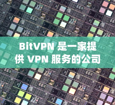 BitVPN 是一家提供 VPN 服务的公司，旨在帮助用户保护隐私、匿名 browsing 以及安全上网。以下是对 BitVPN 功能的评测和分析