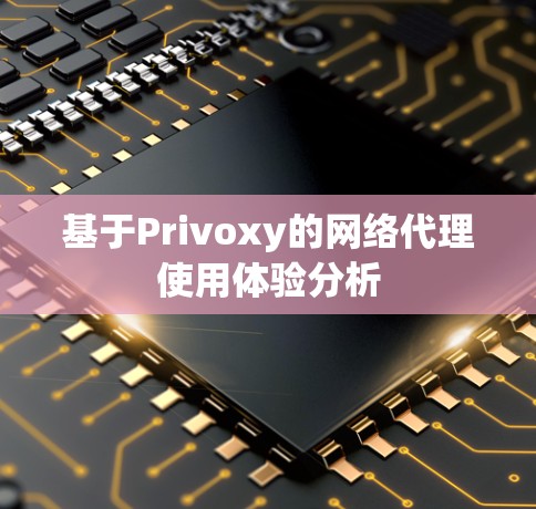基于Privoxy的网络代理使用体验分析