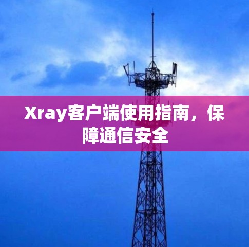 Xray客户端使用指南，保障通信安全