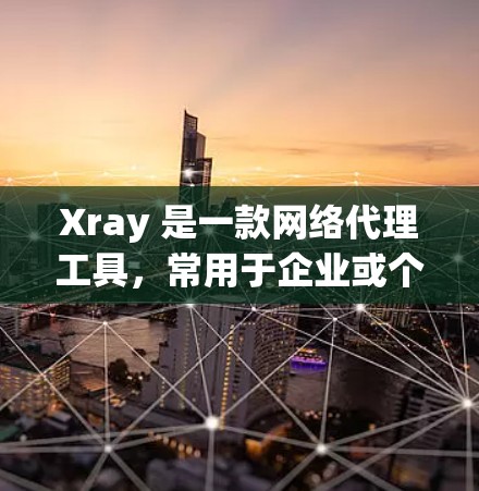 Xray 是一款网络代理工具，常用于企业或个人网络环境中进行流量管理、安全防护等任务。为了优化 Xray 的性能和网络效率，可以从以下几个方面入手