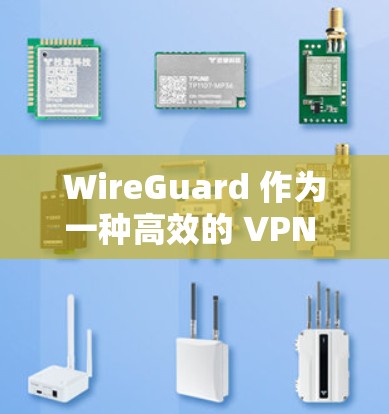 WireGuard 作为一种高效的 VPN 协议，在性能方面展现了显著优势，同时也面临一些潜在的挑战。以下是对其性能的详细分析