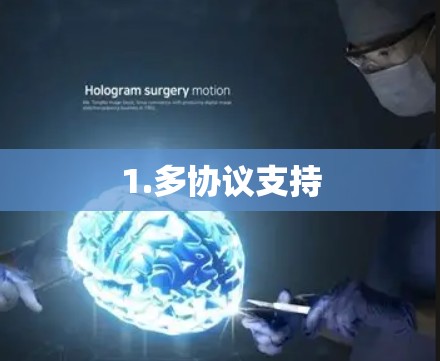 1.多协议支持