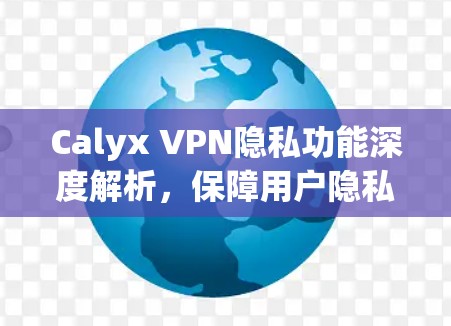 Calyx VPN隐私功能深度解析，保障用户隐私的核心技术