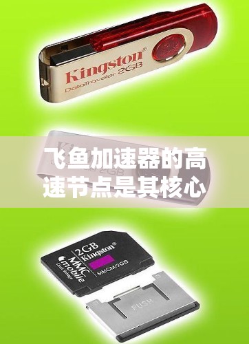 飞鱼加速器的高速节点是其核心设计之一，旨在实现高效、快速的粒子加速。以下是对飞鱼加速器高速节点的详细分析