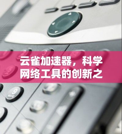 云雀加速器，科学网络工具的创新之道