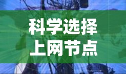 科学选择上网节点，技术与经济的平衡