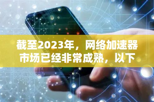 截至2023年，网络加速器市场已经非常成熟，以下是一些领先的厂商和他们的产品