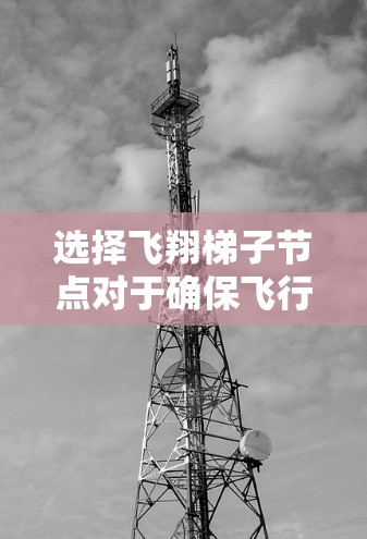 选择飞翔梯子节点对于确保飞行器的稳定飞行至关重要。以下是分步的选择指南