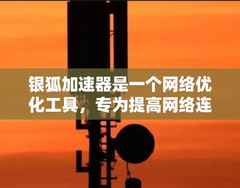 银狐加速器是一个网络优化工具，专为提高网络连接速度和稳定性而设计，尤其适用于需要快速访问网站或下载文件的情况。以下是使用银狐加速器进行高速连接的步骤和注意事项