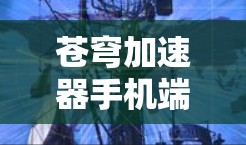 苍穹加速器手机端的开发和应用涉及多个关键方面，以下是对这一过程的详细分析和总结