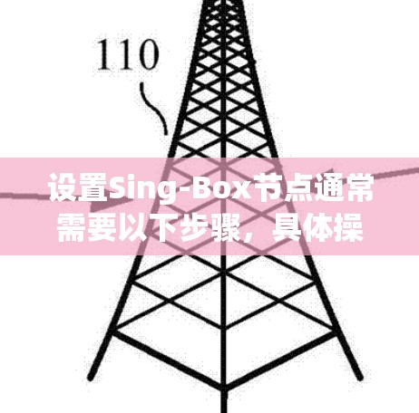 设置Sing-Box节点通常需要以下步骤，具体操作可能因实现而异，但以下是一般性的步骤指南