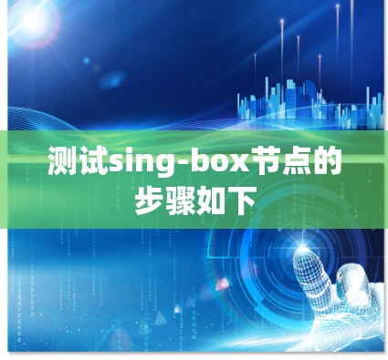 测试sing-box节点的步骤如下