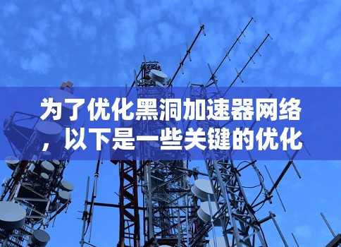 为了优化黑洞加速器网络，以下是一些关键的优化点和实施建议