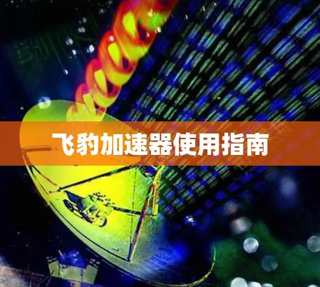 飞豹加速器使用指南