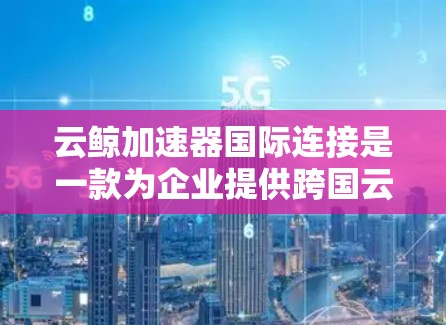 云鲸加速器国际连接是一款为企业提供跨国云计算和大数据分析能力的解决方案，旨在优化资源使用效率和数据处理速度。以下是对这一技术的详细分析
