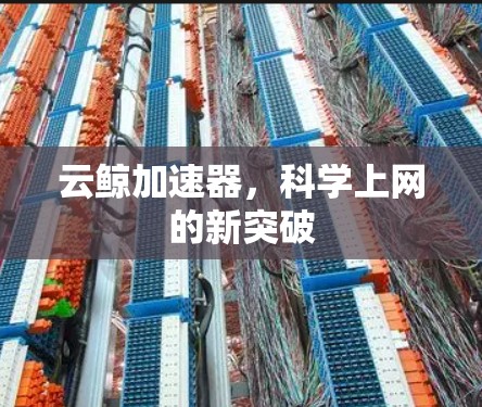 云鲸加速器，科学上网的新突破