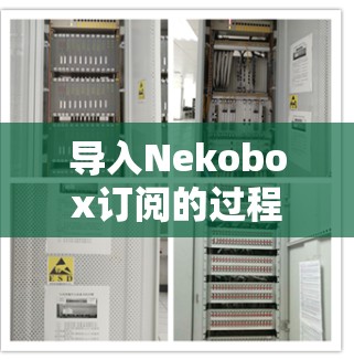 导入Nekobox订阅的过程可能会因平台和具体情况有所不同，但以下是一些通用的步骤和注意事项，帮助你顺利完成订阅导入