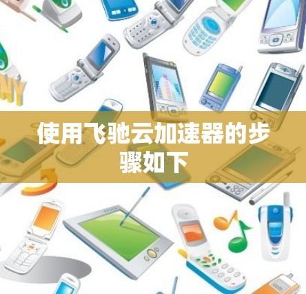 使用飞驰云加速器的步骤如下