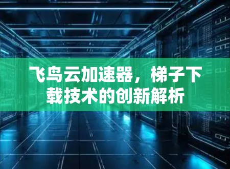 飞鸟云加速器，梯子下载技术的创新解析