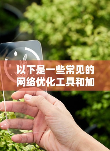 以下是一些常见的网络优化工具和加速器的功能示例
