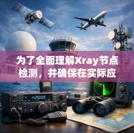 为了全面理解Xray节点检测，并确保在实际应用中有效使用，以下是一个有条理的步骤指南