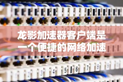 龙影加速器客户端是一个便捷的网络加速工具，旨在提升您的互联网连接速度和稳定性。以下是使用该客户端的分步指南