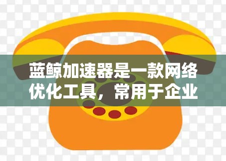 蓝鲸加速器是一款网络优化工具，常用于企业网络中以提高网络性能和安全性。要实现蓝鲸加速器与外网的连接，通常需要以下步骤