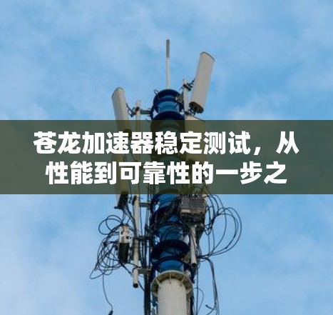 苍龙加速器稳定测试，从性能到可靠性的一步之上