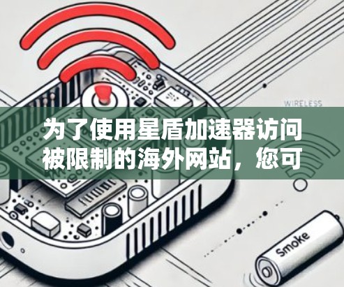 为了使用星盾加速器访问被限制的海外网站，您可以按照以下步骤操作
