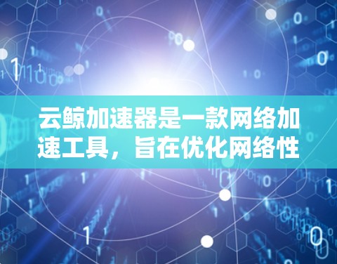 云鲸加速器是一款网络加速工具，旨在优化网络性能，提高数据传输速度和稳定性。以下是关于如何设置和使用云鲸加速器的PC客户端的步骤