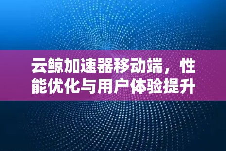 云鲸加速器移动端，性能优化与用户体验提升
