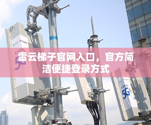 雷云梯子官网入口，官方简洁便捷登录方式
