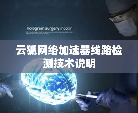 云狐网络加速器线路检测技术说明