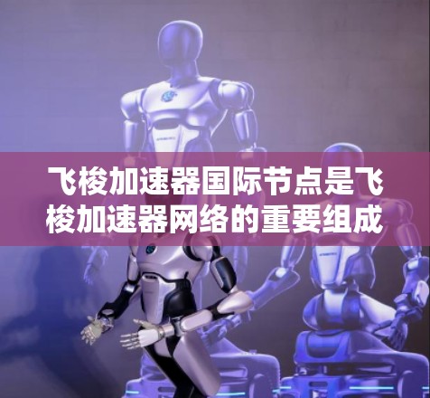 飞梭加速器国际节点是飞梭加速器网络的重要组成部分，旨在实现全球数据中心的高效互联和快速数据传输。以下是对飞梭加速器国际节点的详细分析