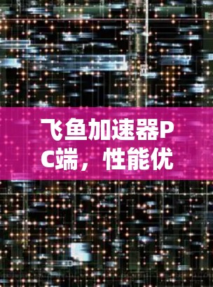 飞鱼加速器PC端，性能优化与应用探讨