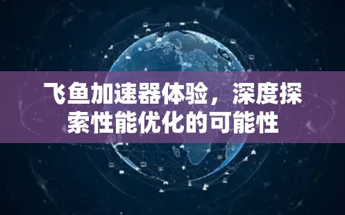 飞鱼加速器体验，深度探索性能优化的可能性