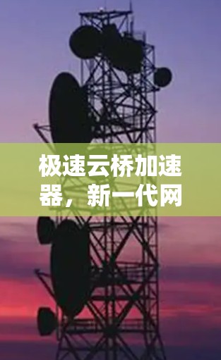 极速云桥加速器，新一代网络传输解决方案